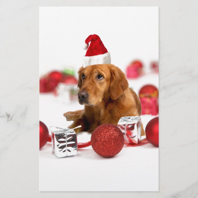 Golden Retriever Dog W Red Santa Hat Christmas (Front)