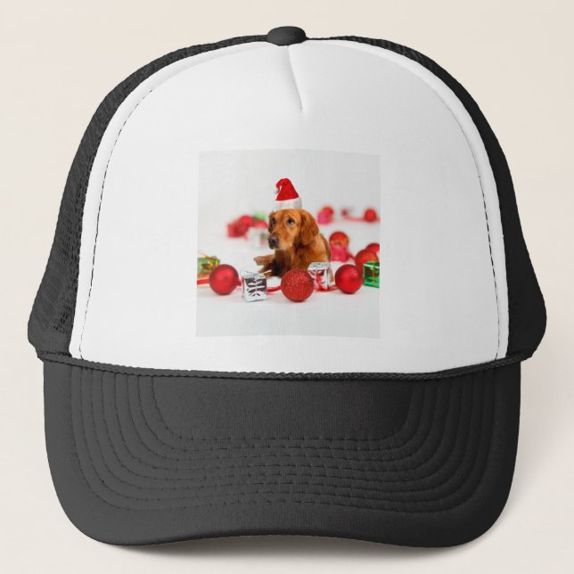 Golden Retriever Dog W Red Santa Hat Christmas (Front)