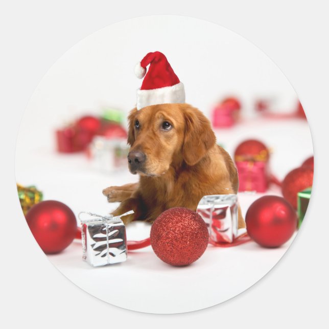 Golden Retriever Dog W Red Santa Hat Christmas Classic Round Sticker (Front)
