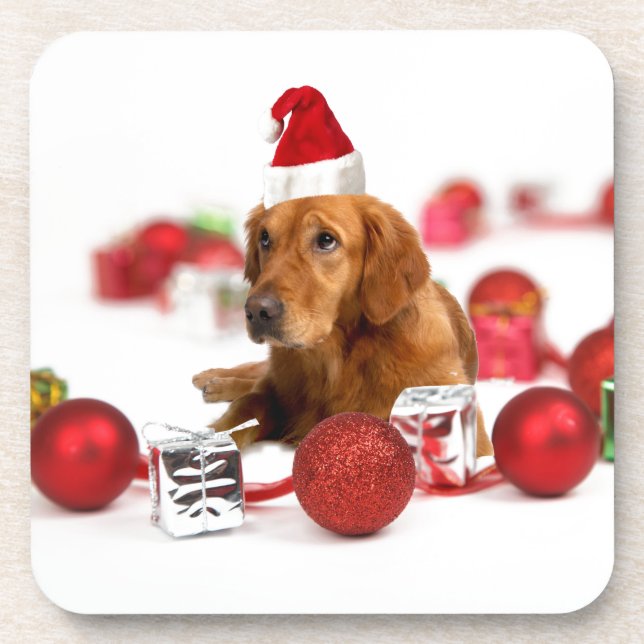 Golden Retriever Dog W Red Santa Hat Christmas Coaster (Front)