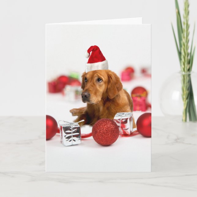 Golden Retriever Dog W Red Santa Hat Christmas Holiday Card (Front)