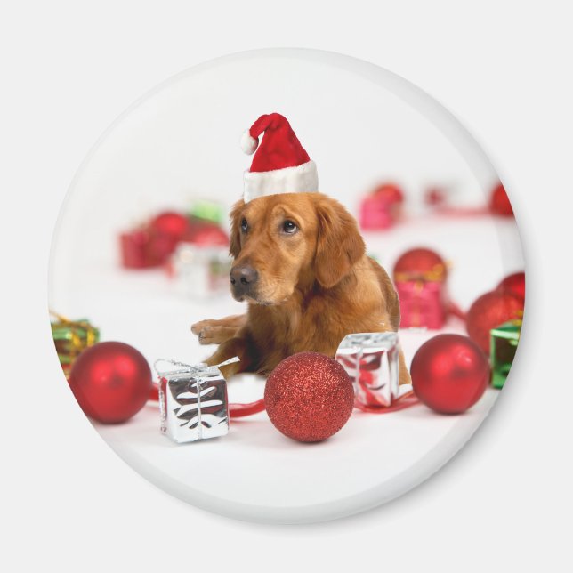 Golden Retriever Dog W Red Santa Hat Christmas Magnet (Front)
