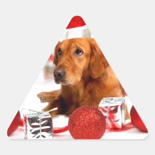 Golden Retriever Dog W Red Santa Hat Christmas Triangle Sticker