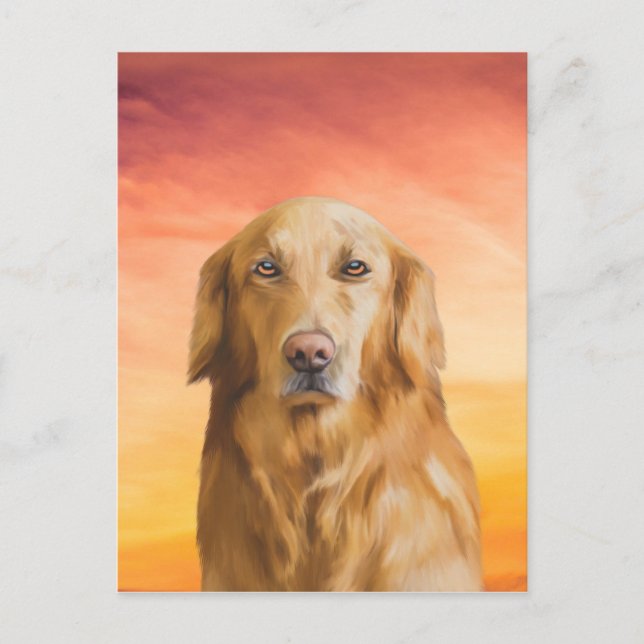Golden Retriever Dog Water Colour Art Oil Painting Postcard (Front)