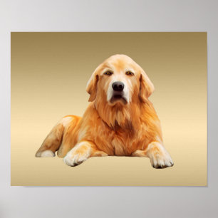 Golden retriever Dog Water Colour Art Painting Poster