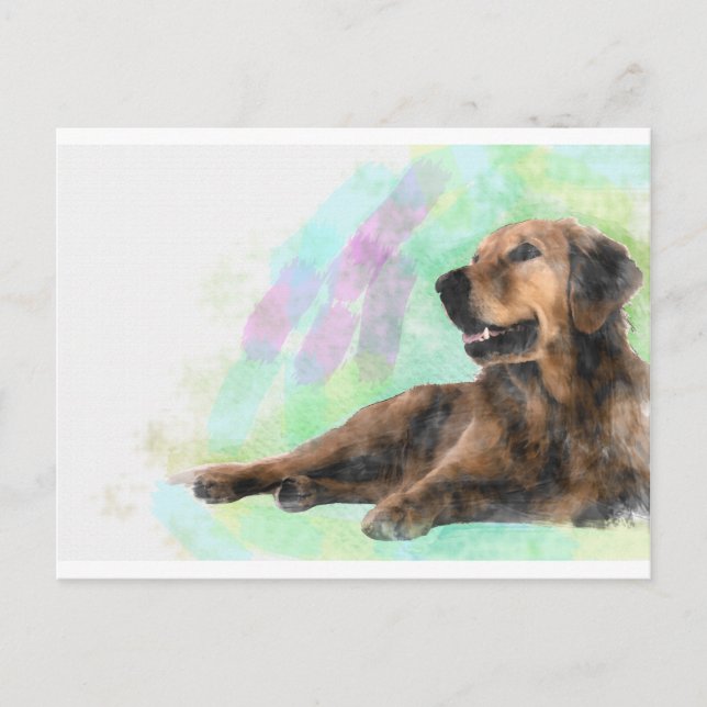 Golden Retriever Dog Water Colour Painting Postcard (Front)