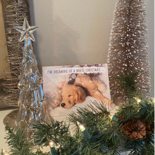 Golden Retriever Dog White Christmas Card
