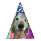 Golden Retriever Dog With Balloons Birthday