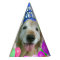 Golden Retriever Dog With Balloons Birthday
