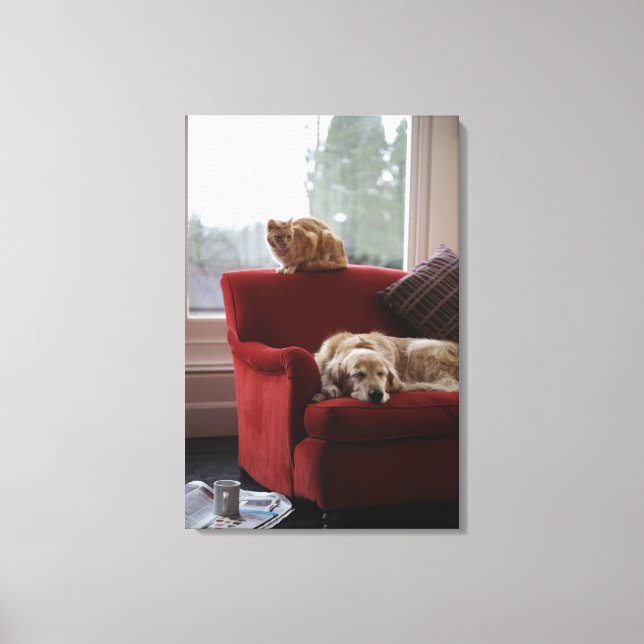 Golden retriever dog with ginger tabby cat canvas print (Front)