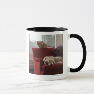 Golden retriever dog with ginger tabby cat mug