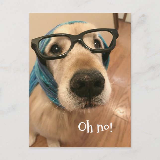 Golden Retriever Dog With Glasses Belated Birthday Postcard (Front)