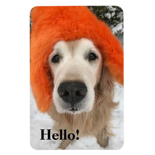 Golden Retriever Dog With Orange Fuzzy Hat in Snow Magnet (Vertical)