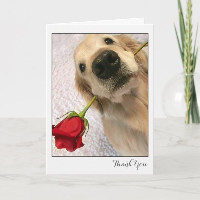 Golden Retriever Dog With Red Rose Thank You (Front)
