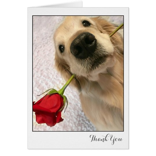 Golden Retriever Dog With Red Rose Thank You Card
