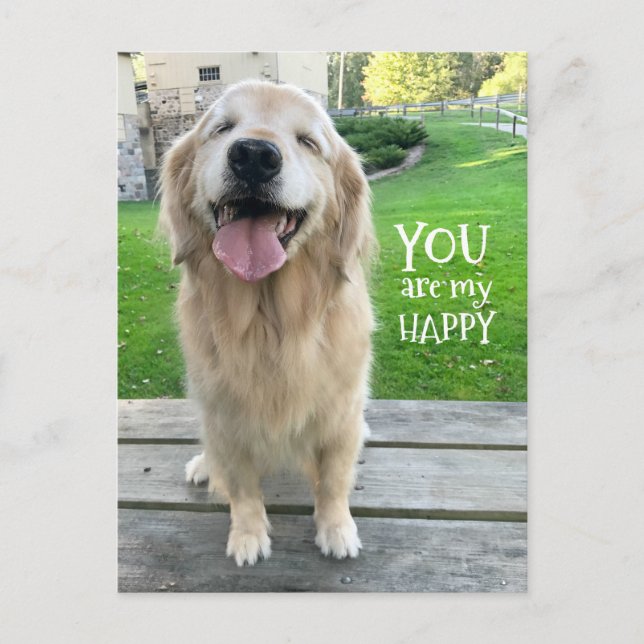 Golden Retriever Dog You Are My Happy Postcard (Front)