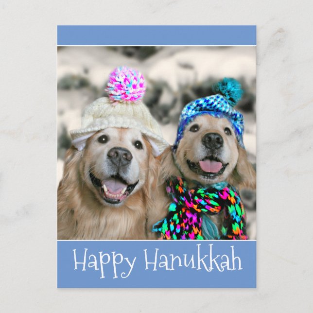 Golden Retriever Dogs in Winter Hats Hanukkah Holiday Postcard (Front)