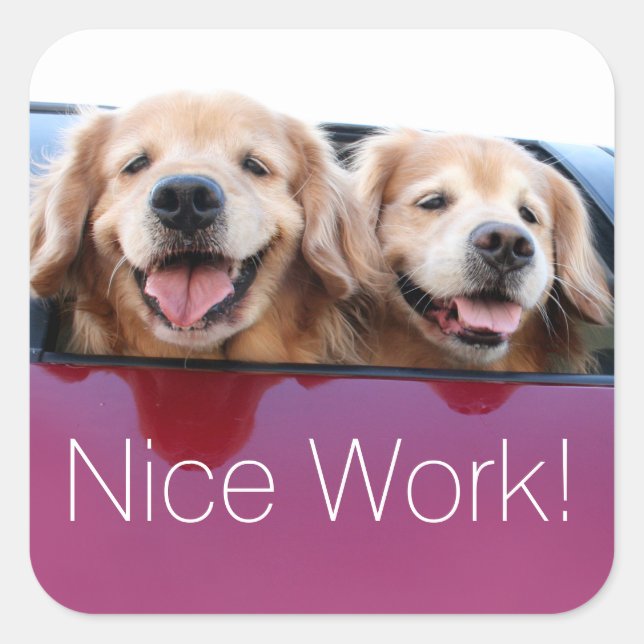 Golden Retriever Dogs Nice Work Teacher Reward Square Sticker (Front)
