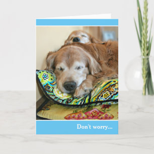 Golden Retriever Dont Worry Theres A Nap For That Card