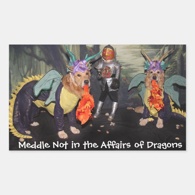 Golden Retriever Dragons Meddle Not Rectangular Sticker (Front)