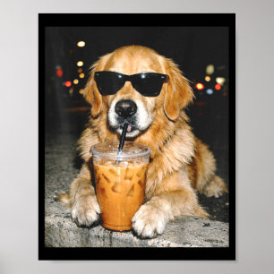 Golden retriever drinking iced coffee funny dogGol Poster