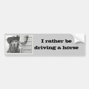 Golden Retriever Driving A Horse  Bumper Sticker