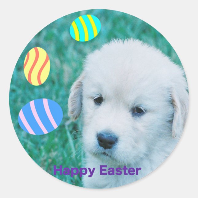 Golden Retriever Easter Puppy Cards & Gifts Classic Round Sticker (Front)