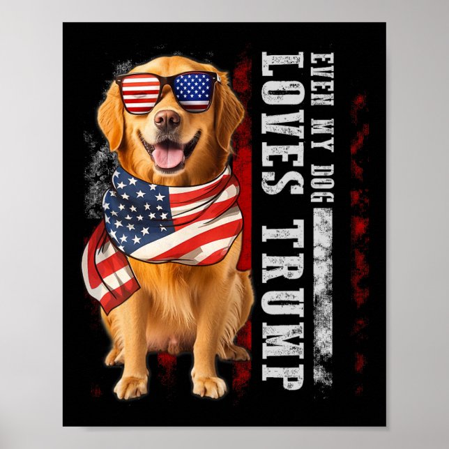 Golden Retriever Even My Dog Loves Trump Funny  Poster (Front)