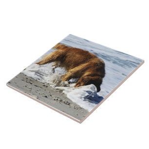 Golden Retriever EVERYBODY STOP! I Lost My Contact Tile