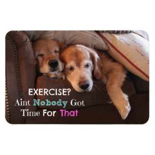 Golden Retriever Exercise Demotivational Magnet