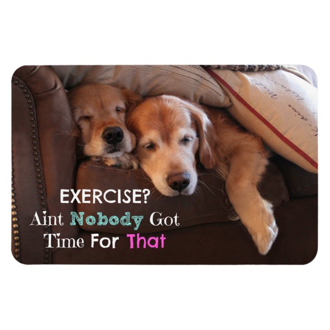 Golden Retriever Exercise Demotivational Magnet (Horizontal)