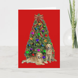 Golden Retriever Father & Son Christmas Card
