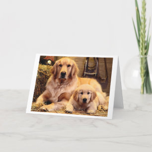 Golden Retriever Father's Day Card