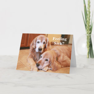Golden Retriever Feeling Sick Get Well Card