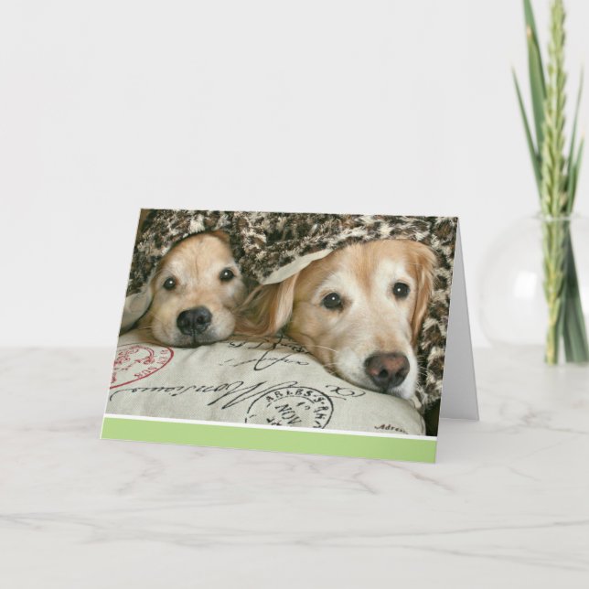 Golden Retriever Feeling Sick Get Well Card (Front)