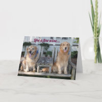 Golden Retriever Fine Wine Birthday