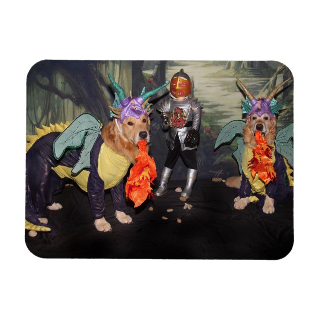 Golden Retriever Fire Breathing Dragons Magnet (Horizontal)