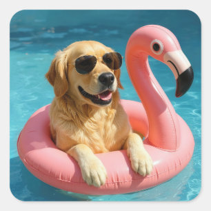 Golden Retriever Floating On a Flamingo Pool Toy Square Sticker