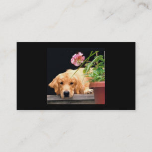 Golden Retriever Flower Girl Breeder Business Card