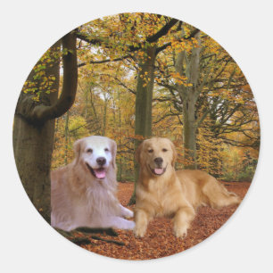 Golden Retriever Friendship Sticker