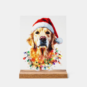 Golden Retriever Funny dog Christmas Santa Hat lig Acrylic Sign