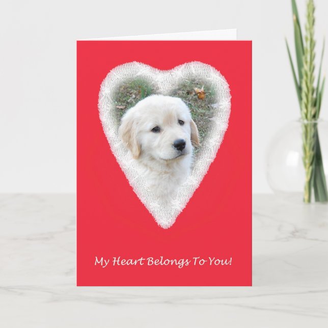 Golden Retriever Funny Valentine's Day Card (Front)