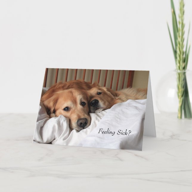 Golden Retriever Get Well Soon Greeting Card (Front)