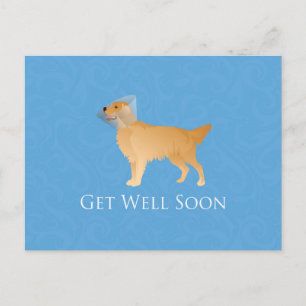 Golden Retriever Get Well Soon Postcard