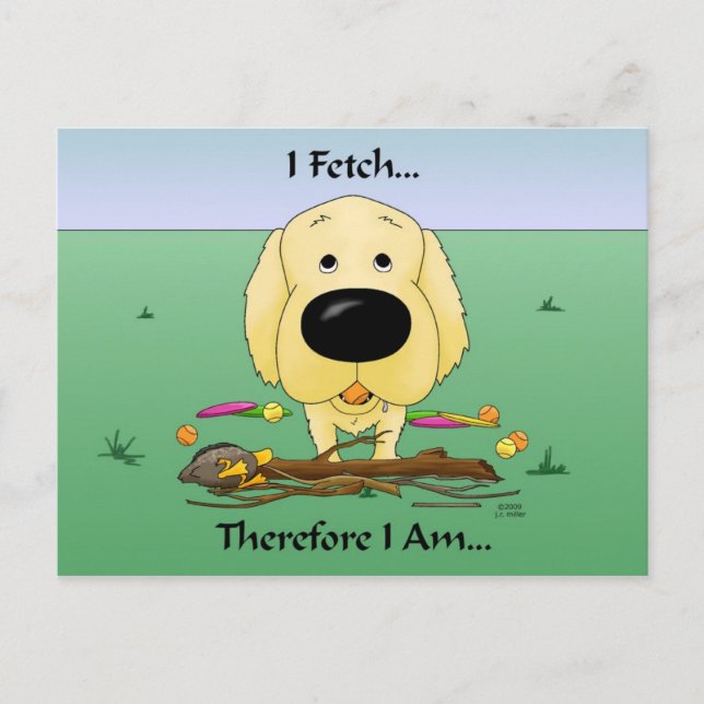 Golden Retriever(Goldens) I Fetch..Postcard Postcard (Front)