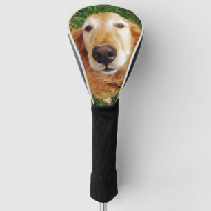Golden Retriever Golf Head Cover