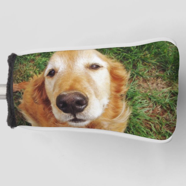 Golden Retriever Golf Head Cover (Front)