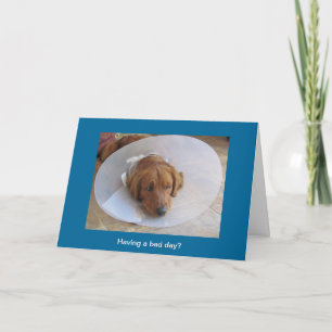 Golden Retriever Greeting Card Cone