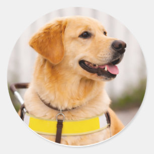 Golden Retriever Guide Dog Right Profile Classic Round Sticker