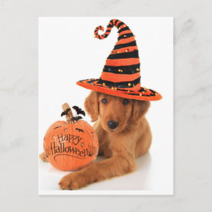 Golden Retriever Halloween Design Postcard